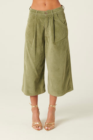 Bermuda Haze con pinces in velluto misto modal