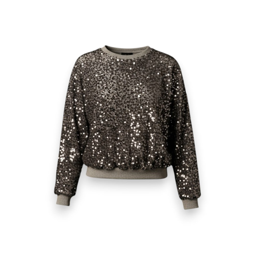 Felpa Vivi in pailettes piccole grigie